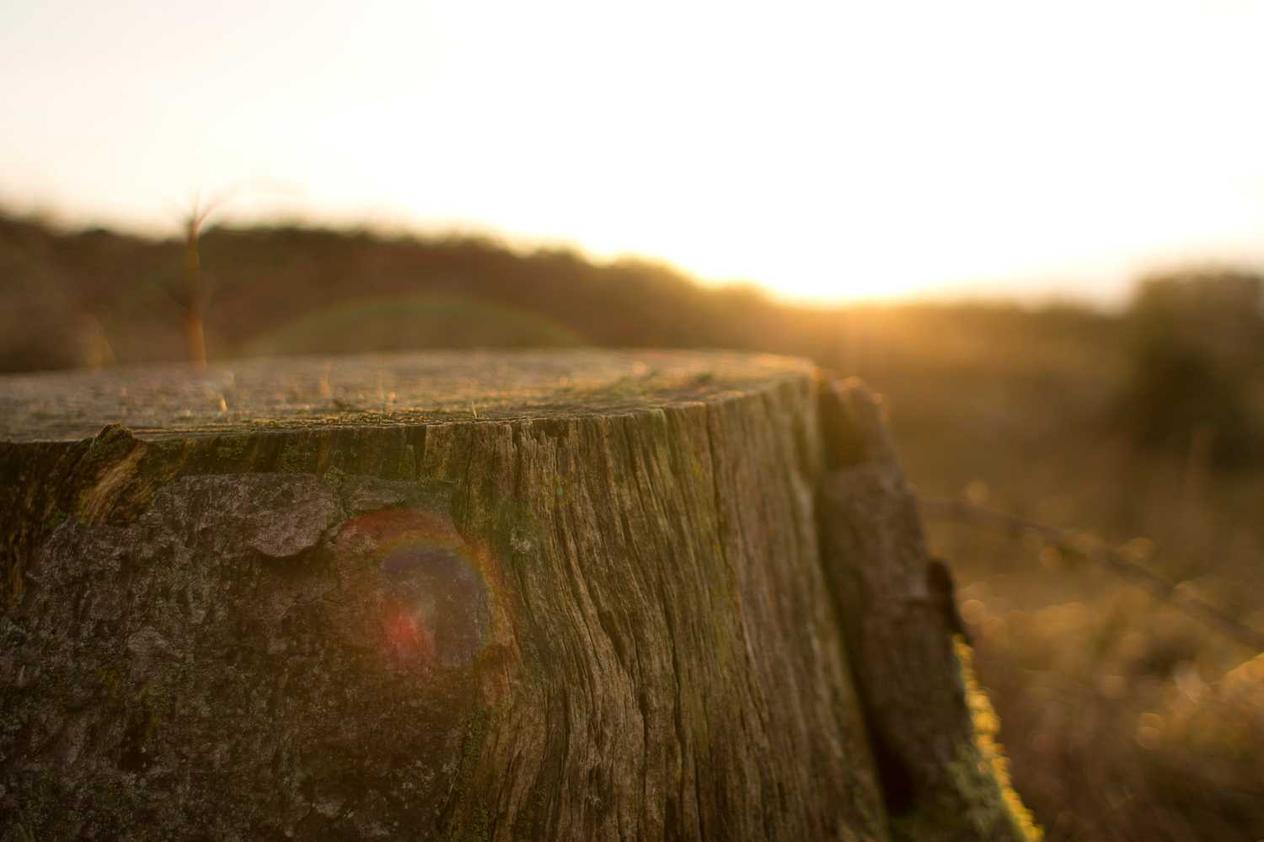 image of the post